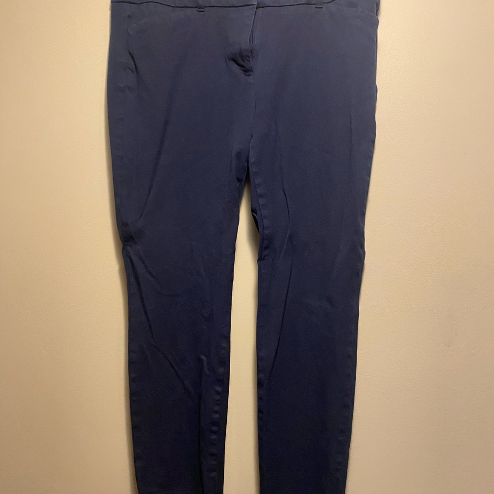 Loft Skinny cropped pants